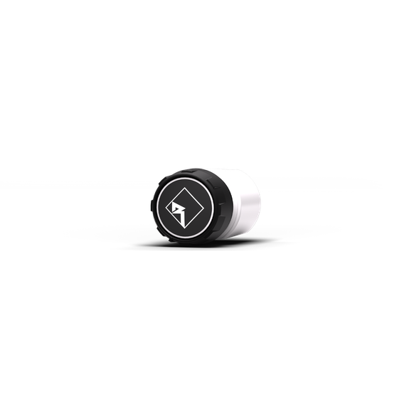 Rockford Fosgate Wrangler bass level control