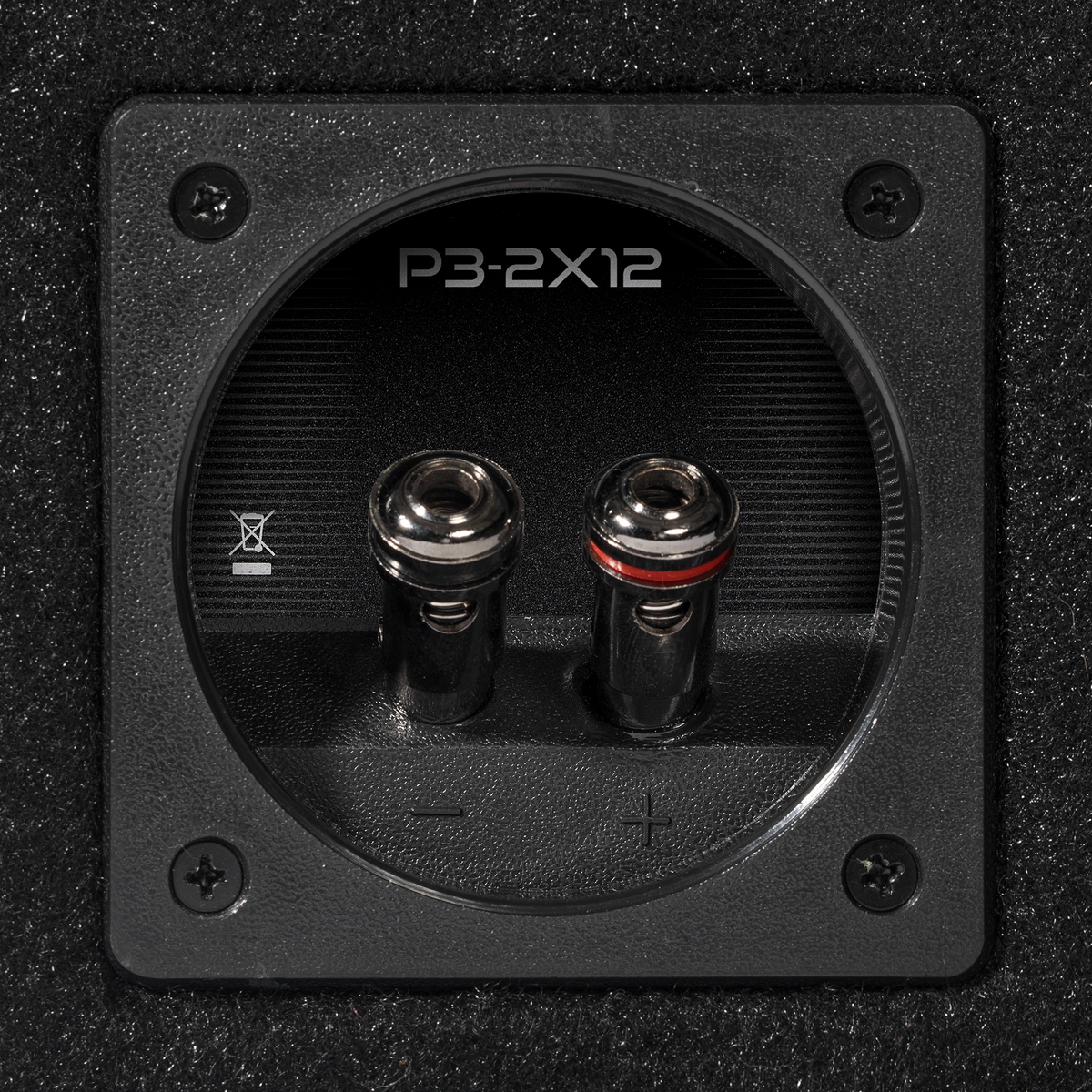 Rockford Fosgate P3-2X12 compression terminal closeup