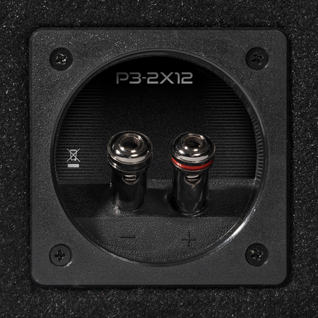 Rockford Fosgate P3-2X12 compression terminal closeup