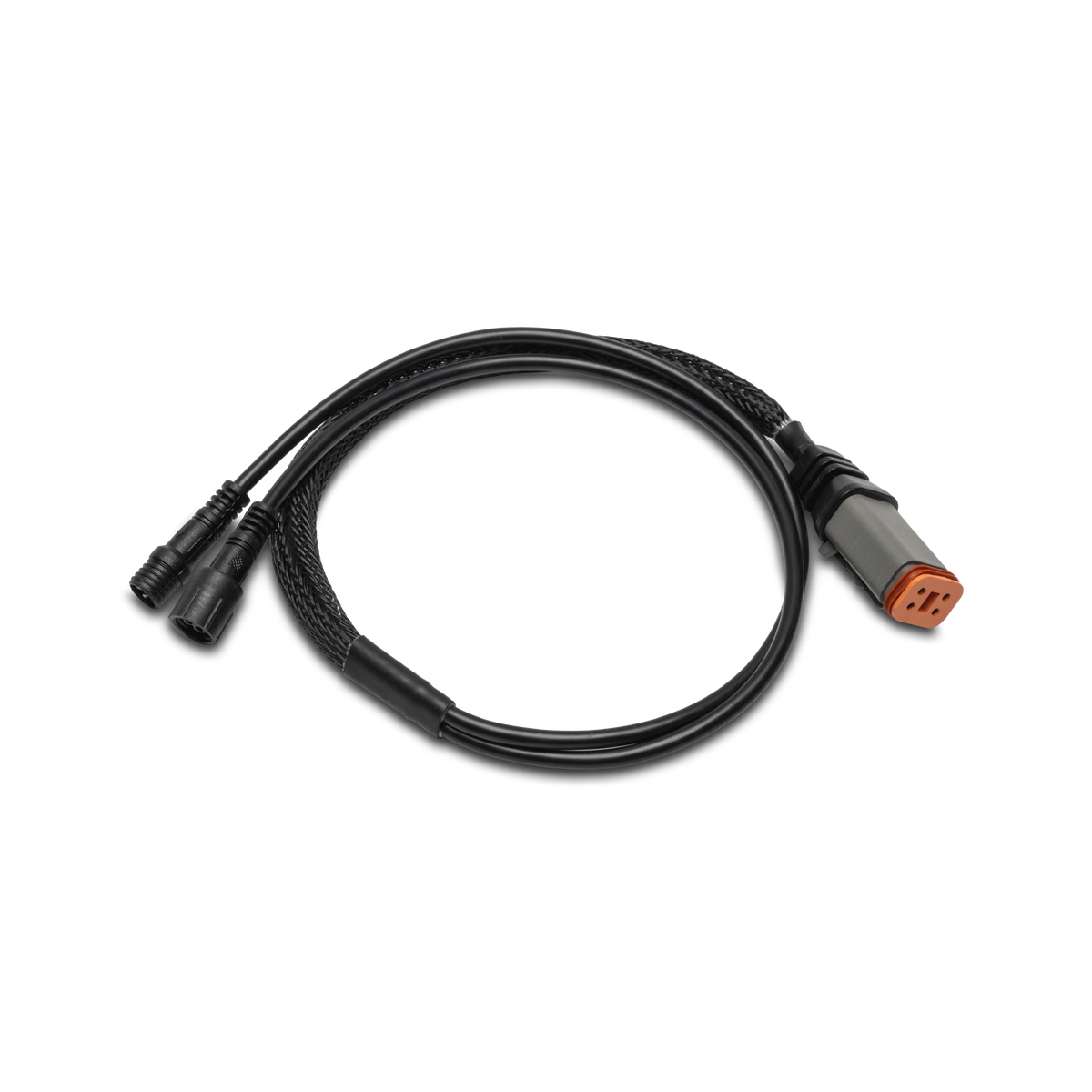 Rockford Fosgate RGB-Y4P Color Optix Y-adapter